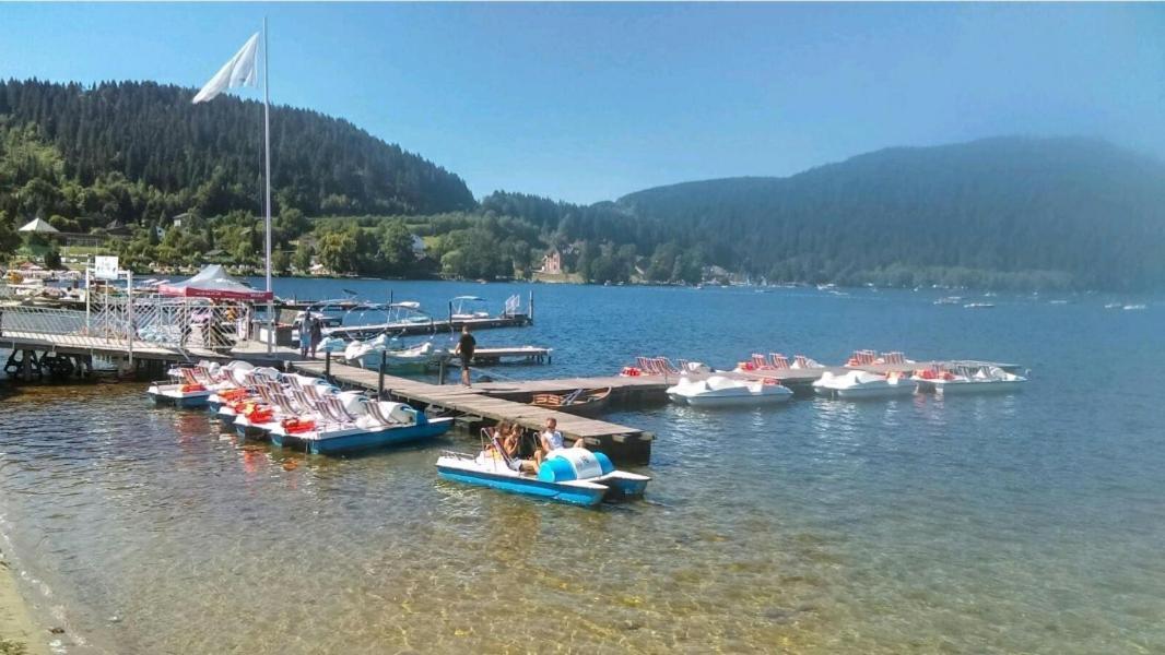Апартаменты La Perle Au Bord De La Riviere Жерарме Экстерьер фото