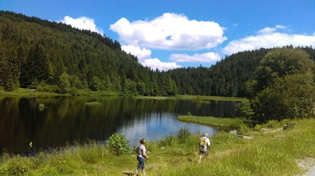 Апартаменты La Perle Au Bord De La Riviere Жерарме Экстерьер фото
